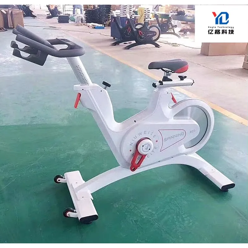 YG-S005 YG Fitness Cyclette Co - Fitness Home Gym Equipment recensione e prezzo