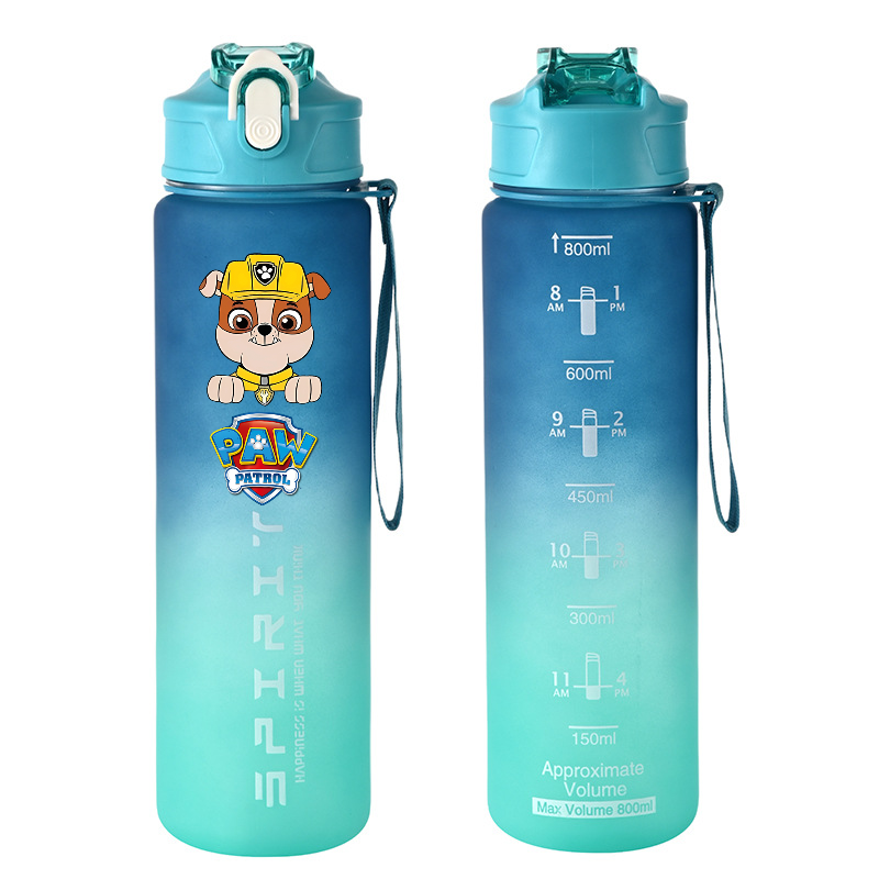 800ml PAW Patrol Sport Bottigl - Home Gym Room recensione e prezzo