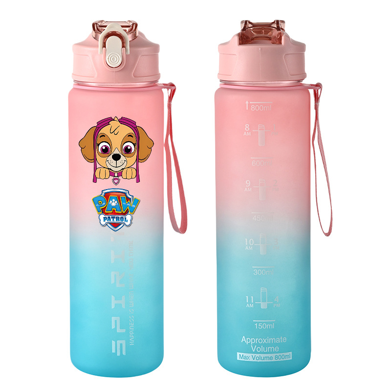 800ml PAW Patrol Sport Bottigl - Home Gym Room recensione e prezzo