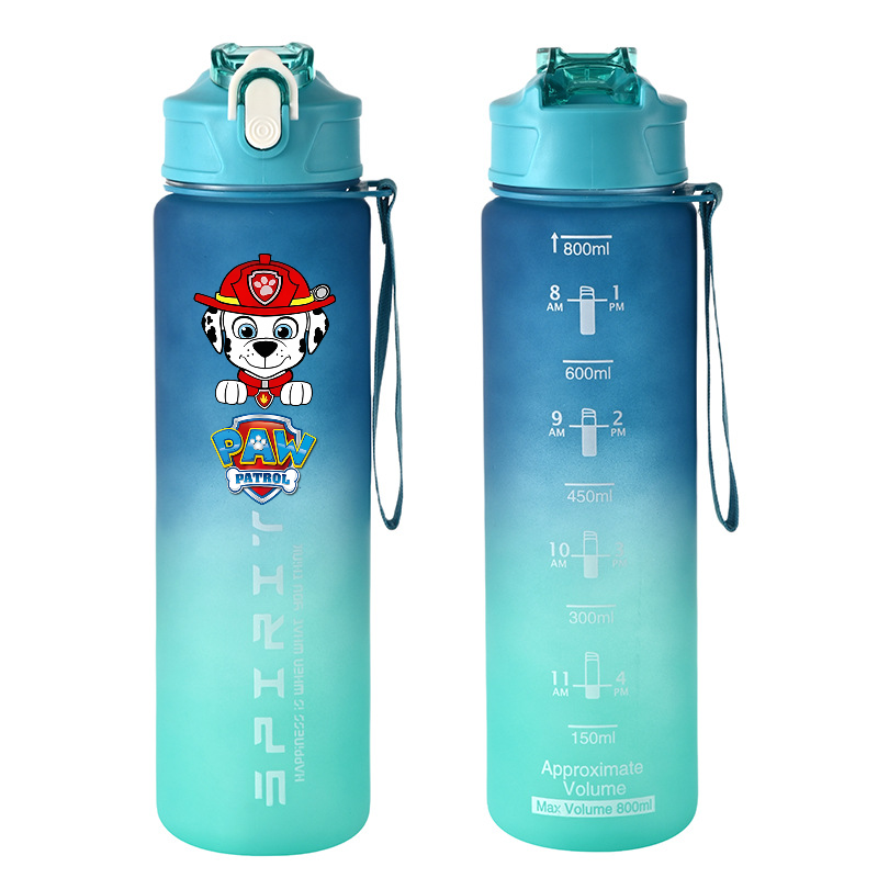 800ml PAW Patrol Sport Bottigl - Home Gym Room recensione e prezzo