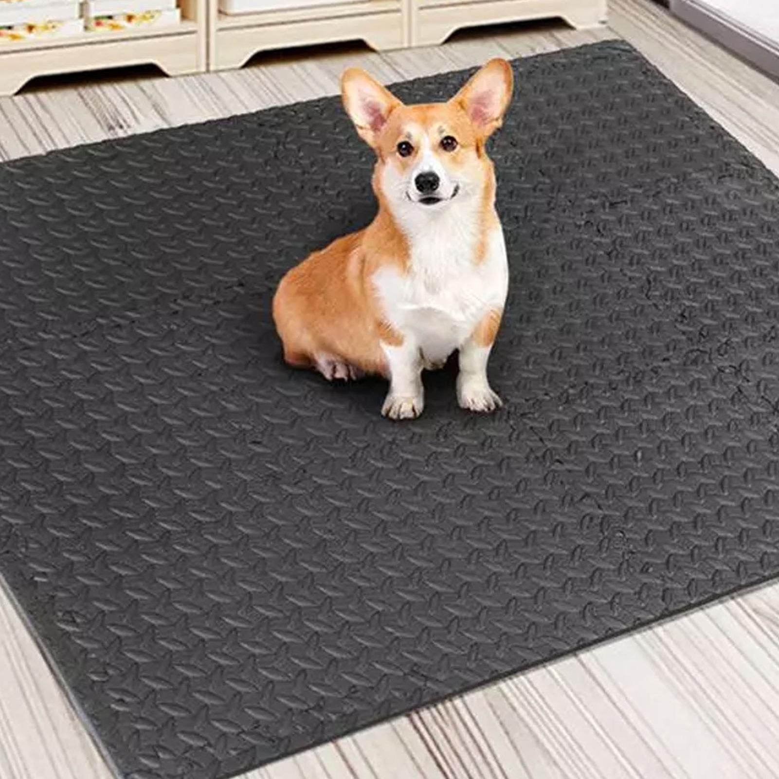 Tappetino per esercizi puzzle  - Home Gym For Toddlers recensione e prezzo